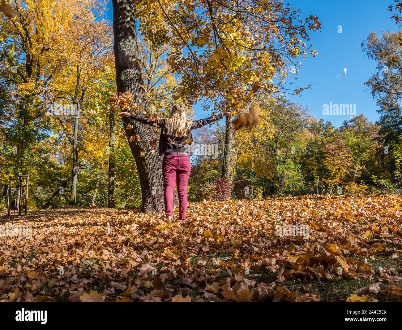 panorama happiness in fall Stock Photo