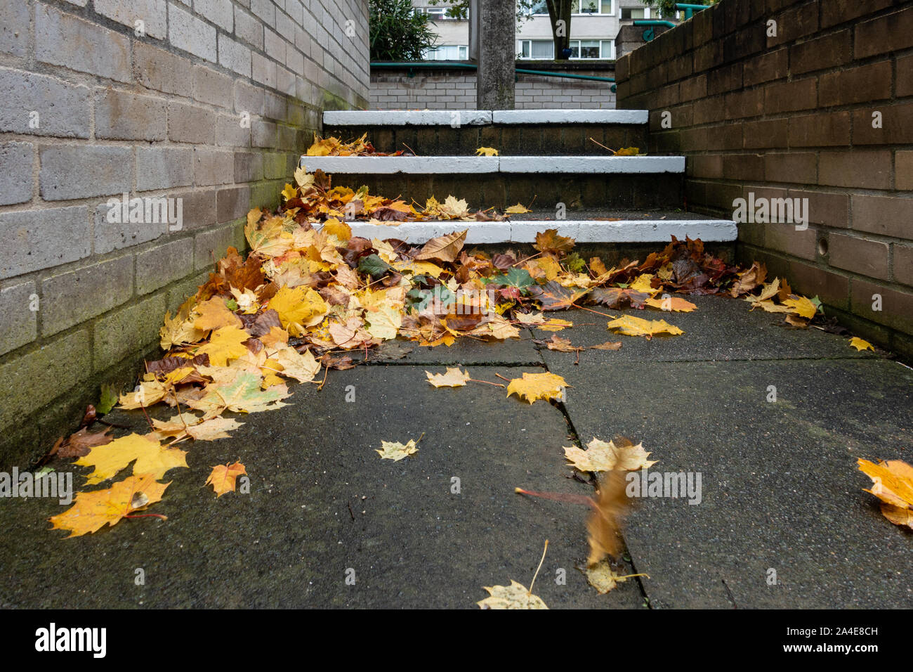 Autumn leaves have gathered along the edge of an outdoor staircase. Stock Photo