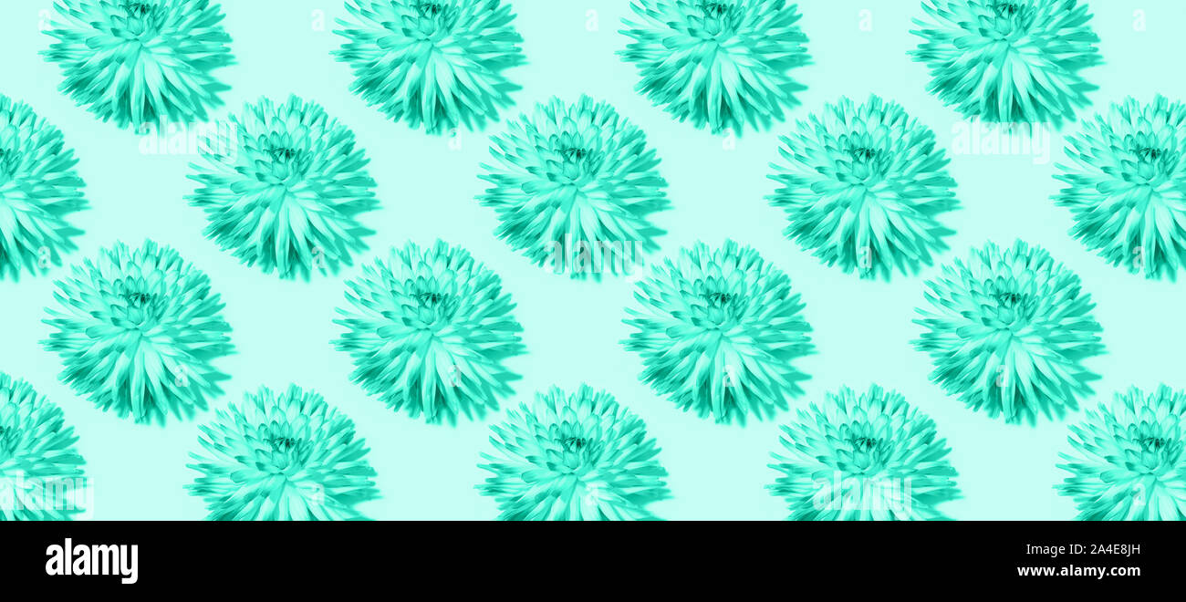 Floral pattern made of mint flowers over turquoise background. Festive ...