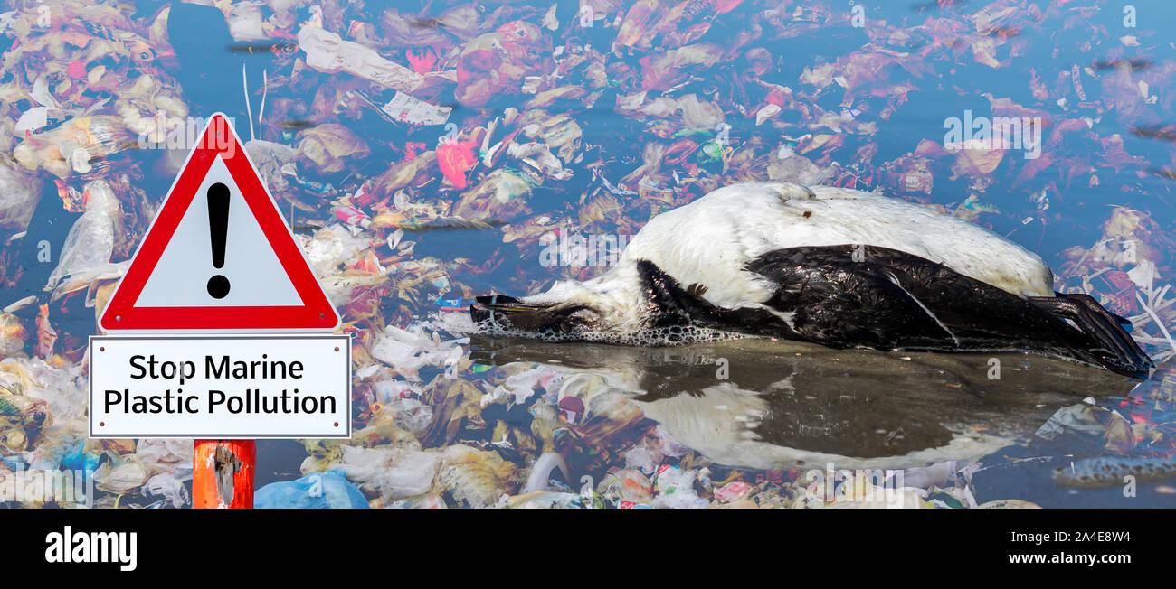 Stop Marine Plastic Pollution on the World Stock Photo