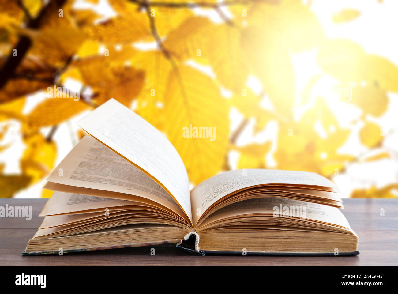 Open book on a wooden surface on a background of autumn trees and ...