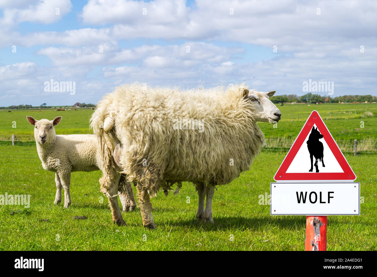 Warning sign Wolf in Germany Stock Photo