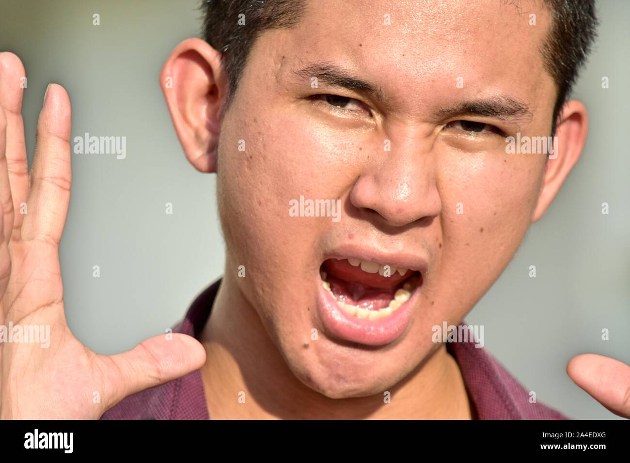 Rankle hi-res stock photography and images - Alamy