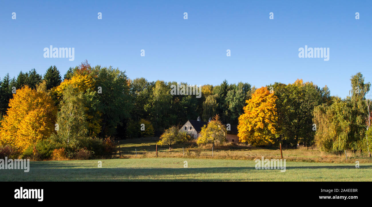 Old typical standalone house in the forest, Waldviertel, Austria Stock Photo