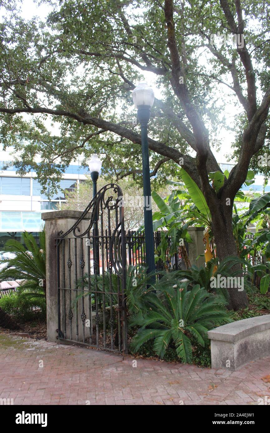 Park palm trees plants hi-res stock photography and images - Alamy
