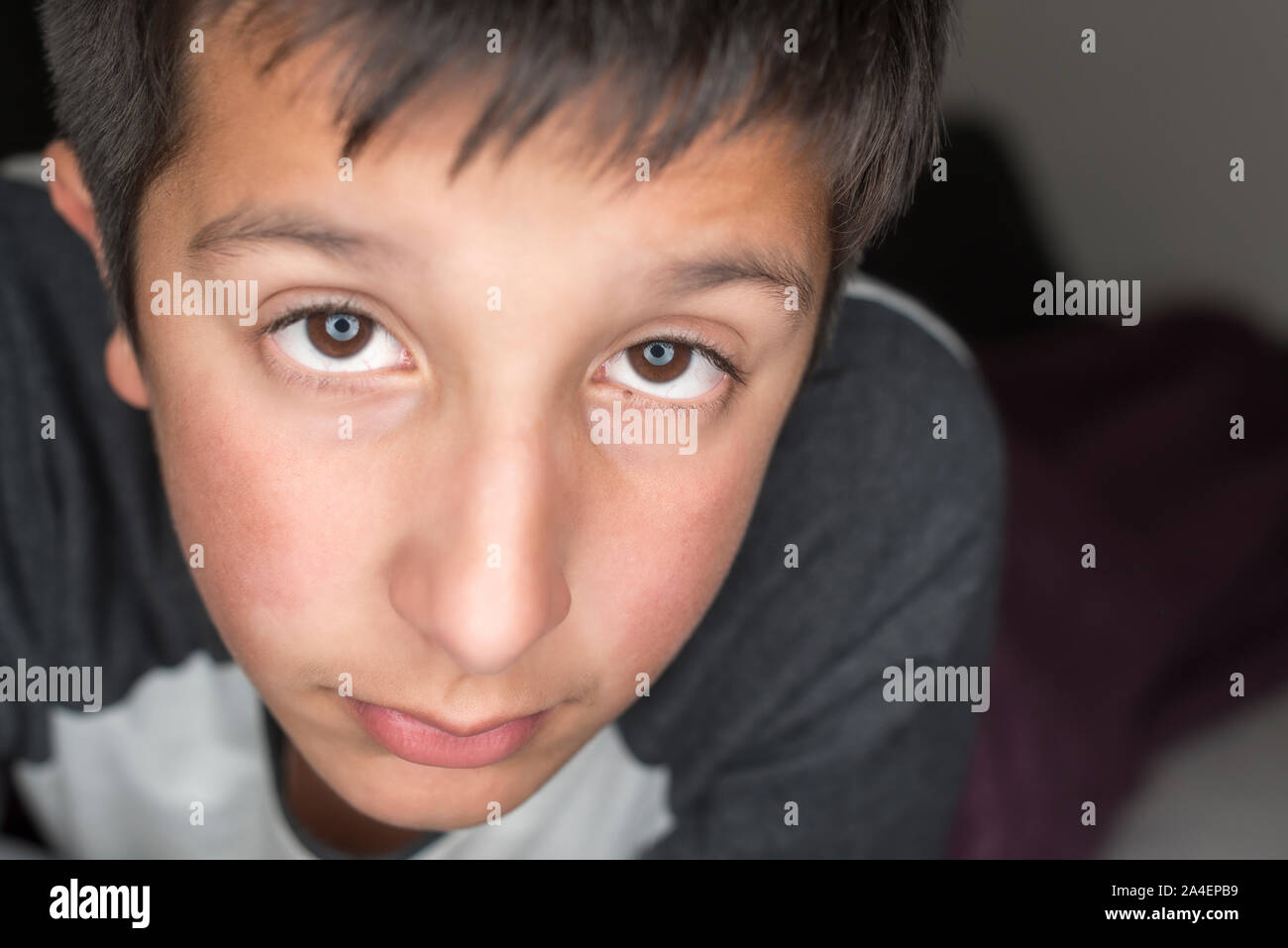 Portrait of young boy , 11 years old - looking up, eye contact, close-up Stock Photo