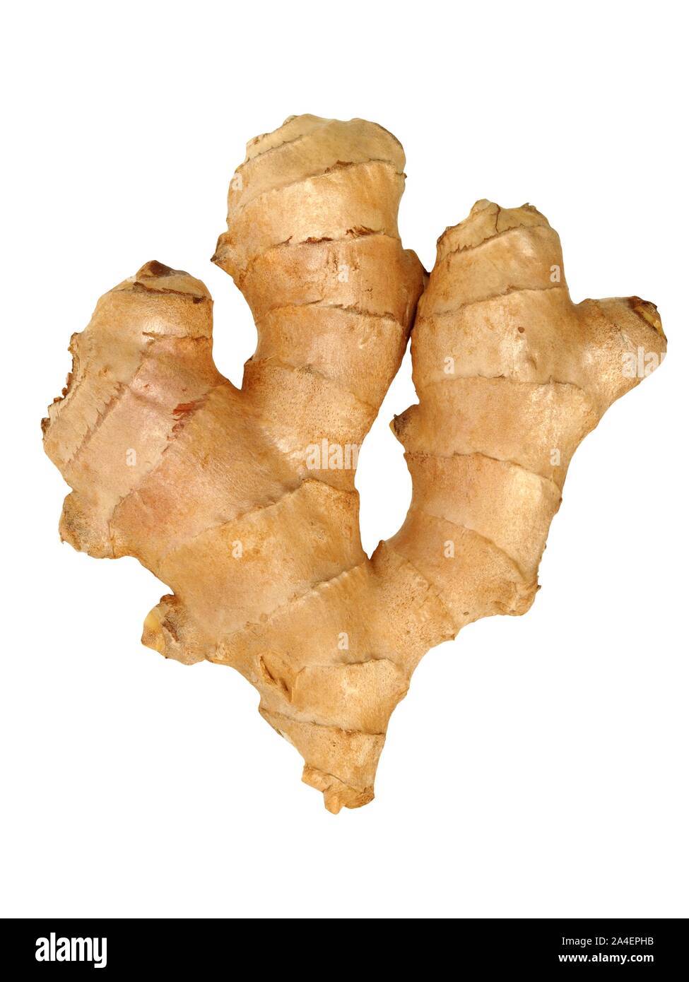 Big ginger root on white background Stock Photo - Alamy