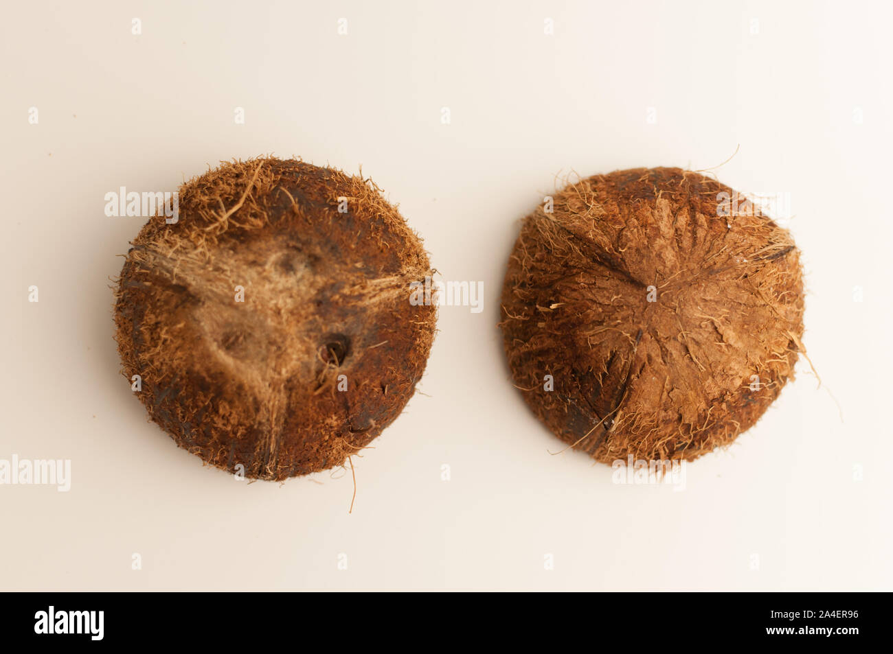 two halves of coconut shell on a white background, isolate. Future food bowls zero waste. Environmentally friendly material for dishes. Copy space. Stock Photo