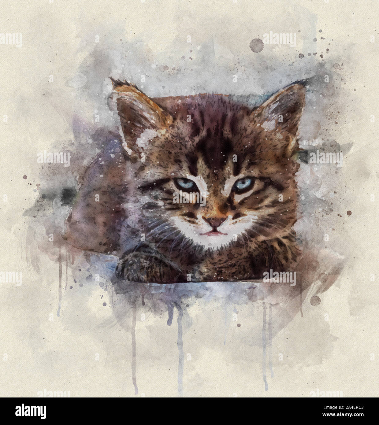 Watercolor illustration, Portrait of a little tabby cat with blue eyes  resting Stock Photo - Alamy