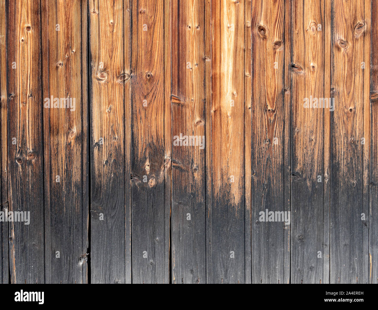 A closer look at Textured Wood Surface Renovation