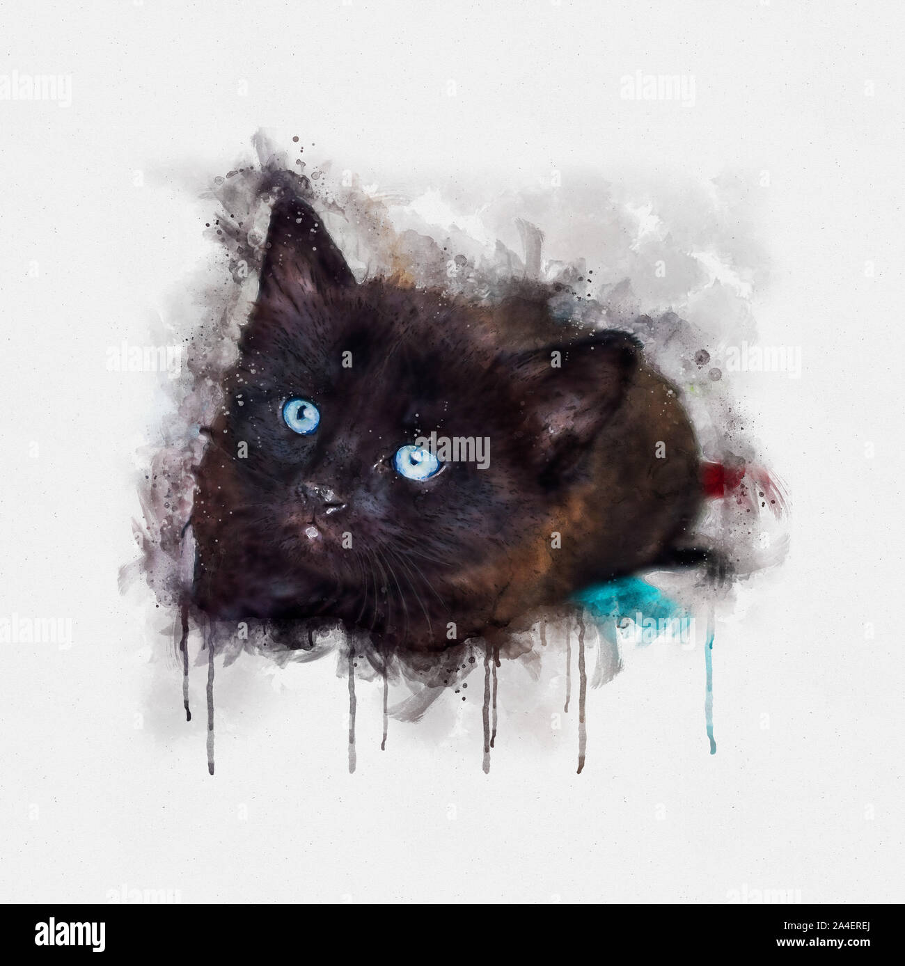 Watercolor illustration, Portrait of a little black cat with blue eyes  Stock Photo - Alamy