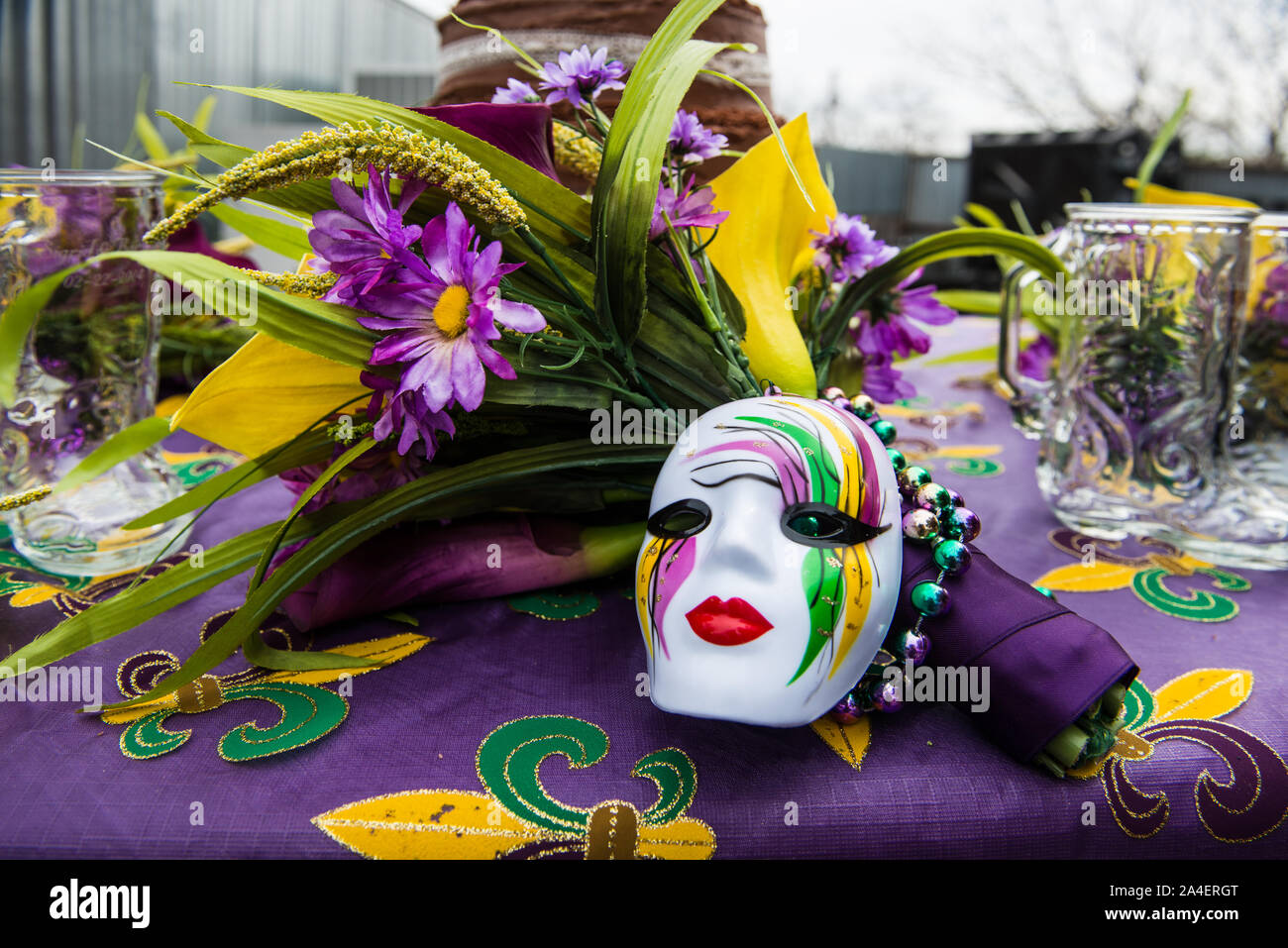 mardi gras parade bandera texas