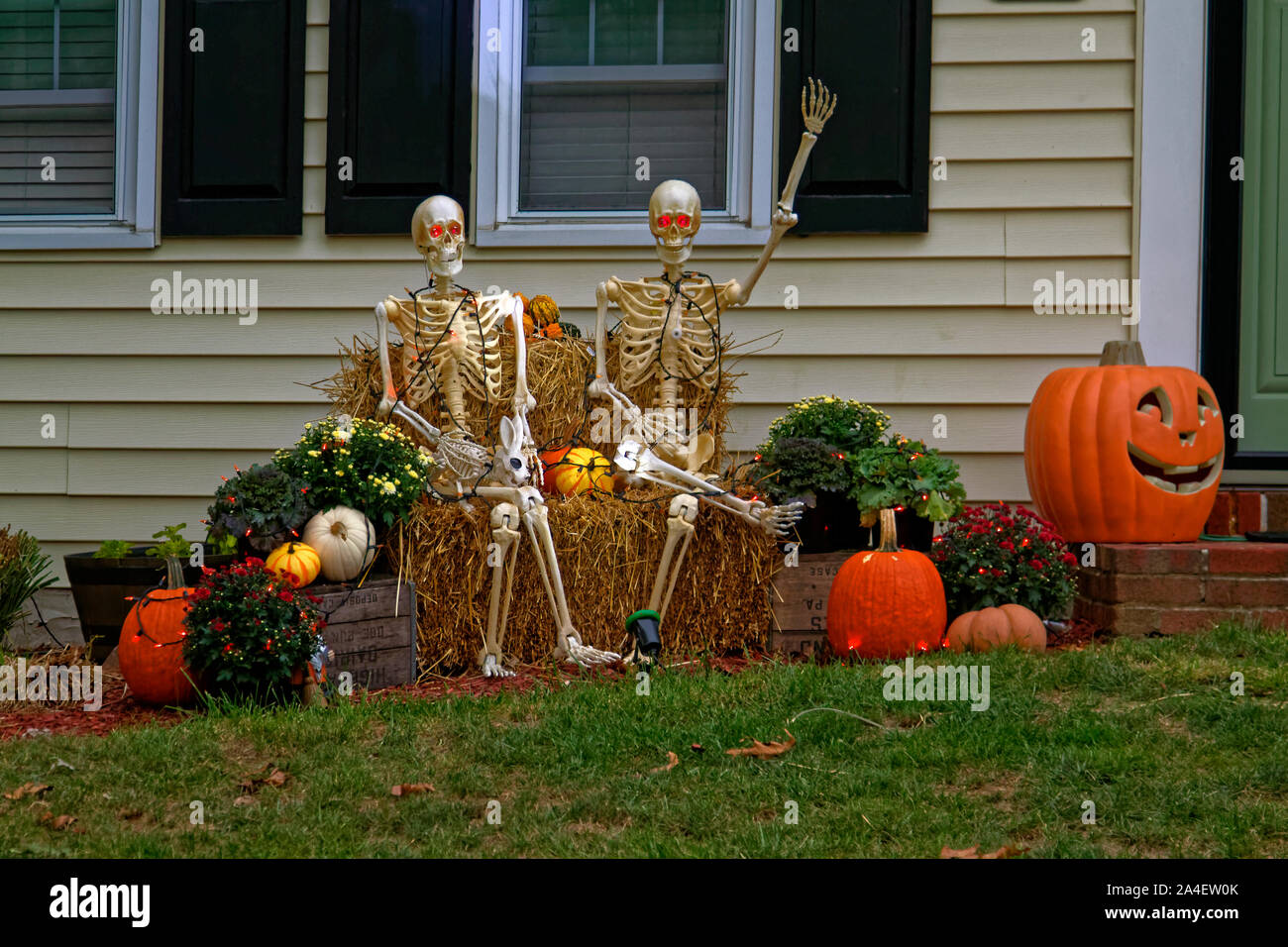 Pumpkins and chrysanthemums hi-res stock photography and images - Alamy