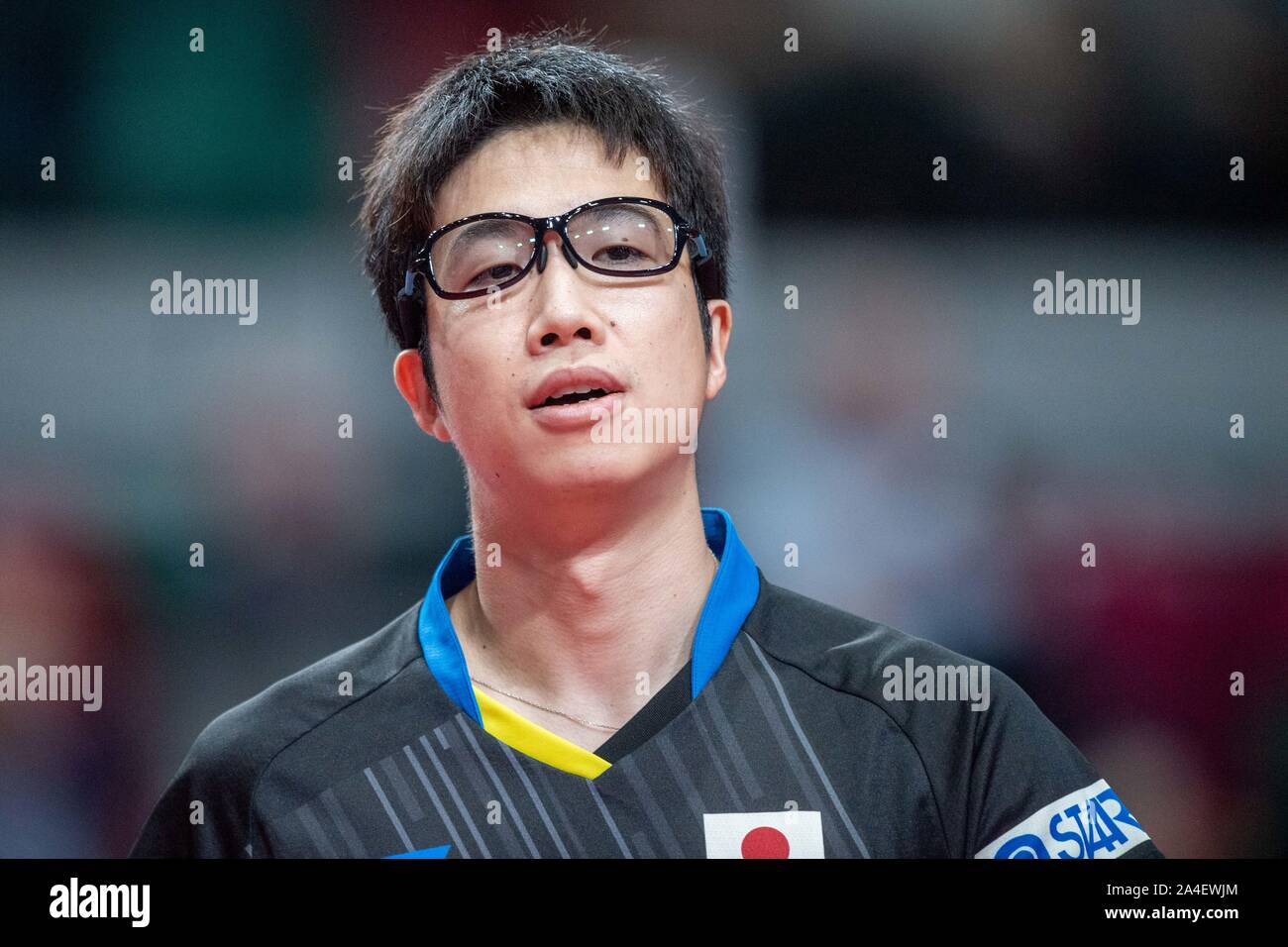 Jun mizutani sale