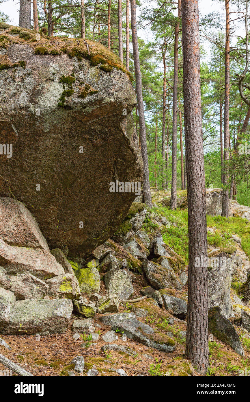 Large Rocks Forest Big rocks in woods hi-res stock photography and images - Alamy