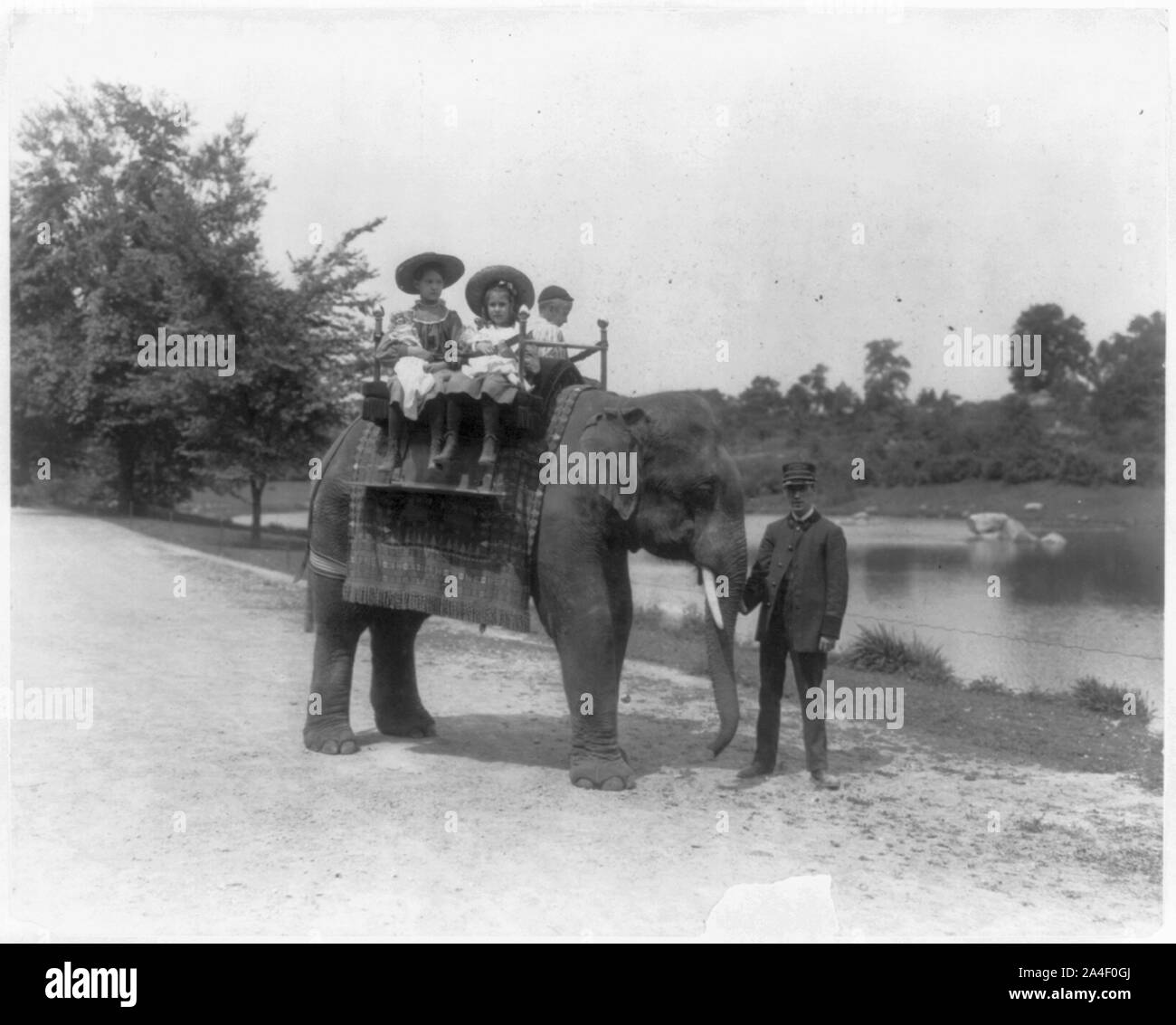 Three children riding an elephant at New York Zoological Park Stock Photo