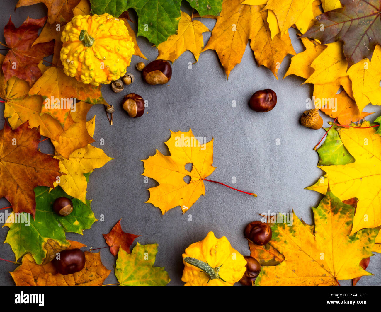Autumn background with yellow maple leaves, red apples and pumpkins ...