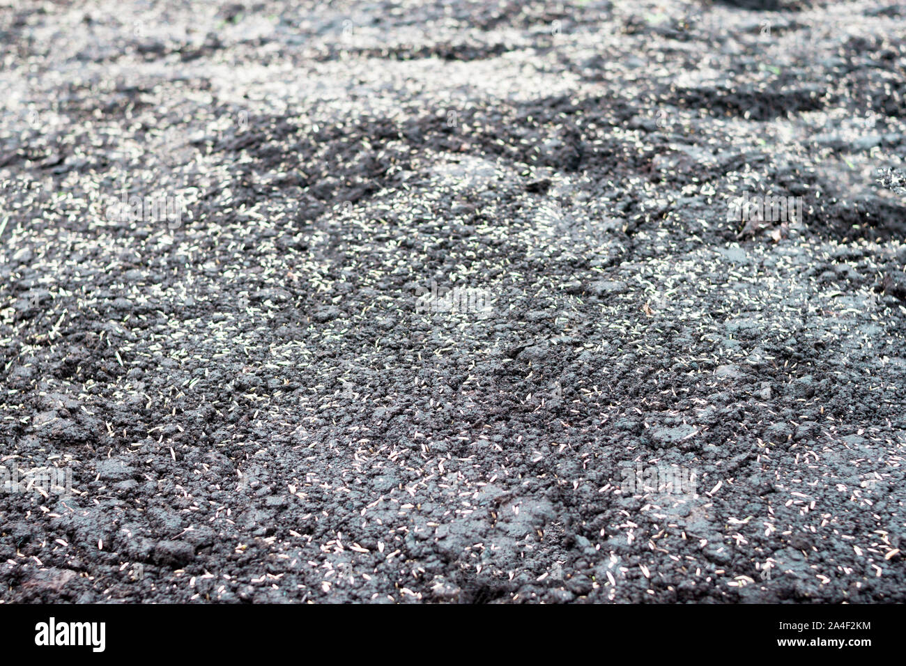 Black soil crops hi-res stock photography and images - Alamy