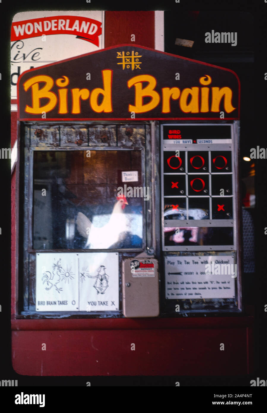 Tic Tac Toe Chicken, Atlantic City, New Jersey Stock Photo