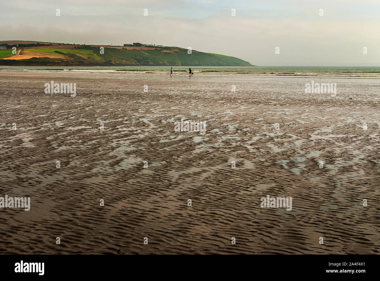 Couple walking on sandy beach leaving footprints in the sand, with a dog. Cloudy day. Stock Photo