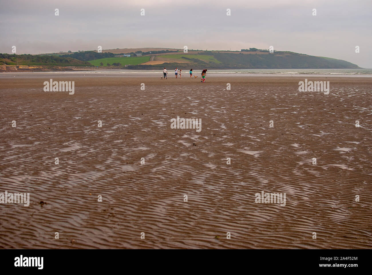People walking on sandy beach leaving footprints in the sand. Family with children and a dog playing on Killbrittain beach, Ireland. Cloudy day. Stock Photo