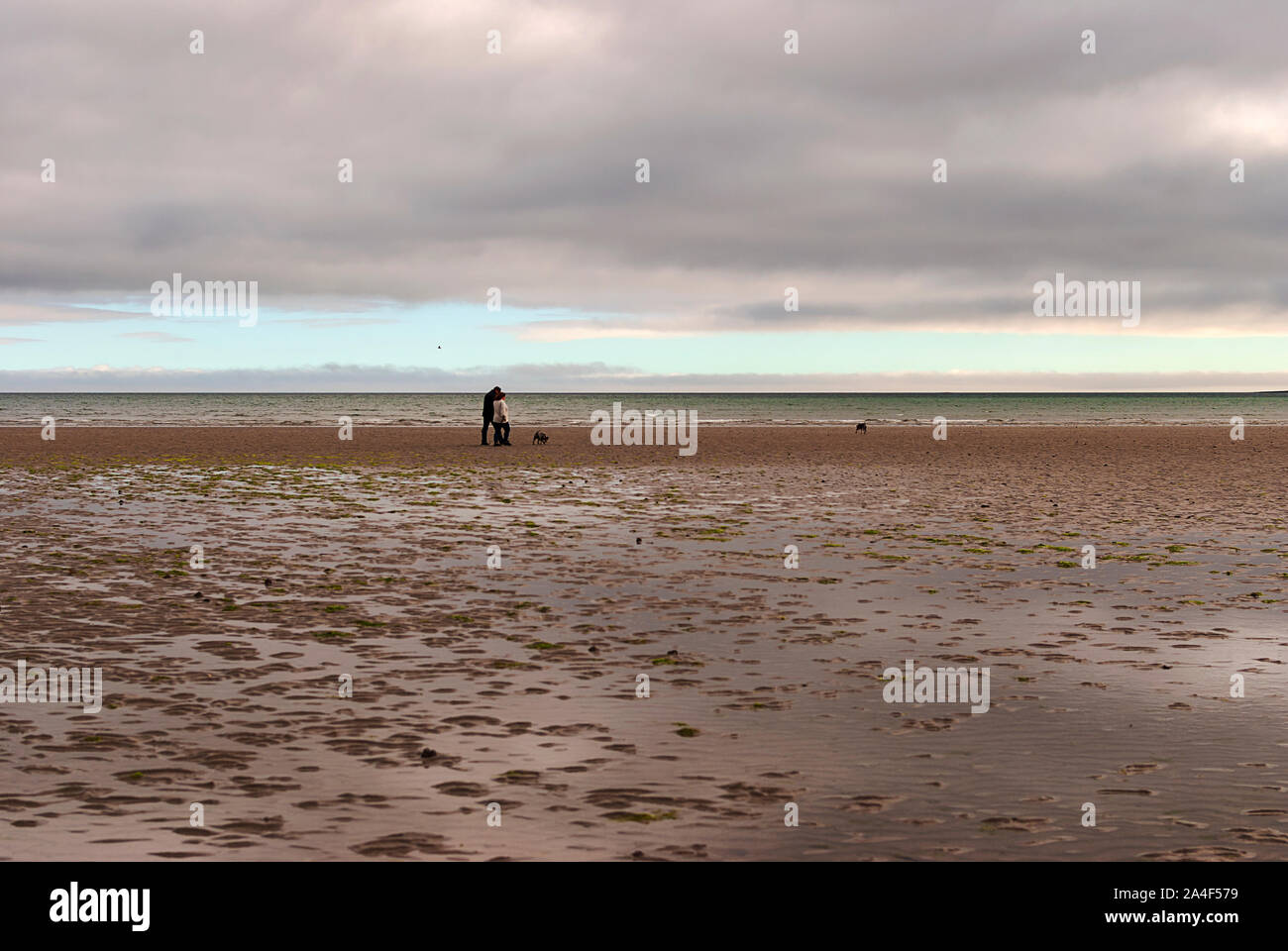 Couple walking on sandy beach leaving footprints in the sand. One ...