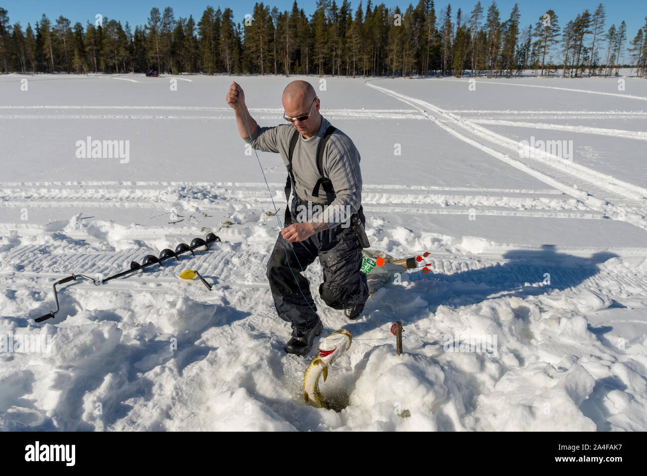 https://c8.alamy.com/comp/2A4FAK7/fishermen-catch-a-pike-with-a-special-winter-fishing-equipment-used-to-catch-pike-picture-from-the-nortern-sweden-2A4FAK7.jpg
