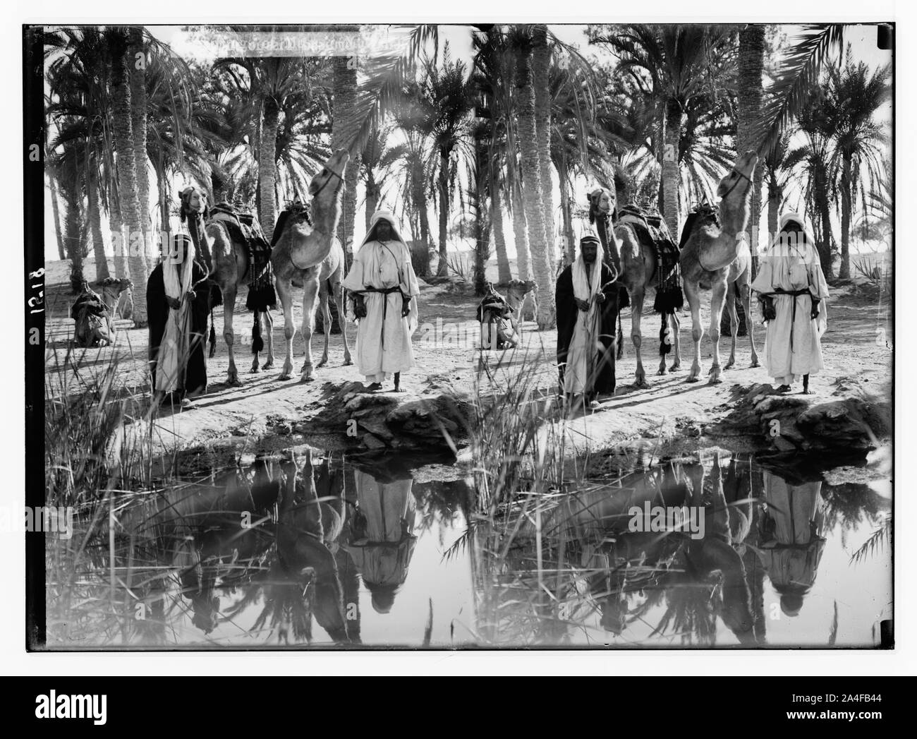 To Sinai via the desert. Scene at the Springs of Moses Stock Photo