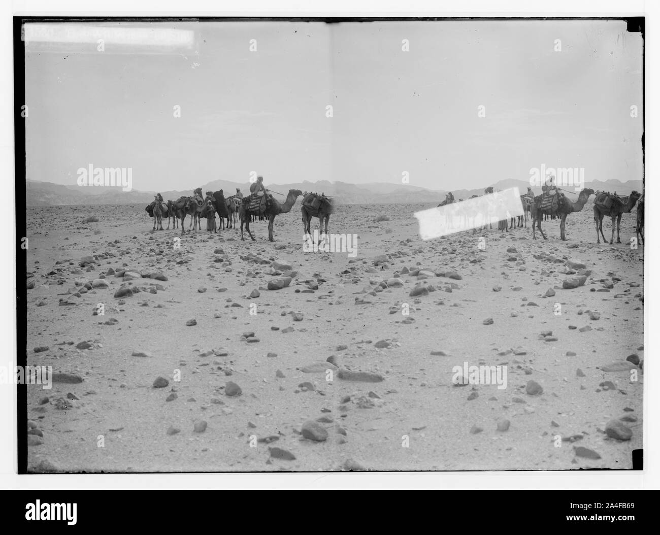 To Sinai via the desert. The wilderness of sin Stock Photo - Alamy