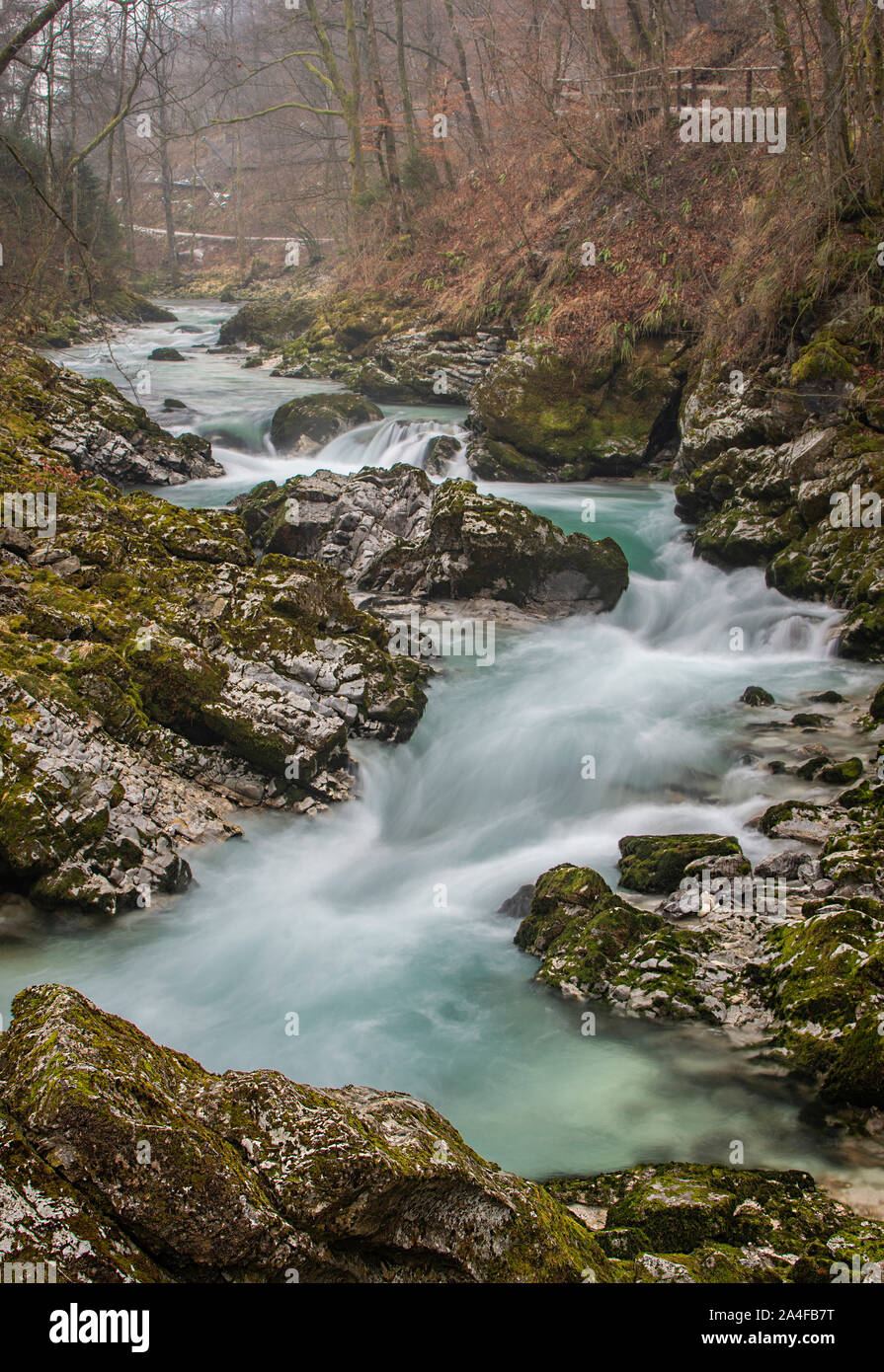 Beautiful Radovna River in The Vintgar Gorge or Bled Gorge, Slovenia in winter. Stock Photo