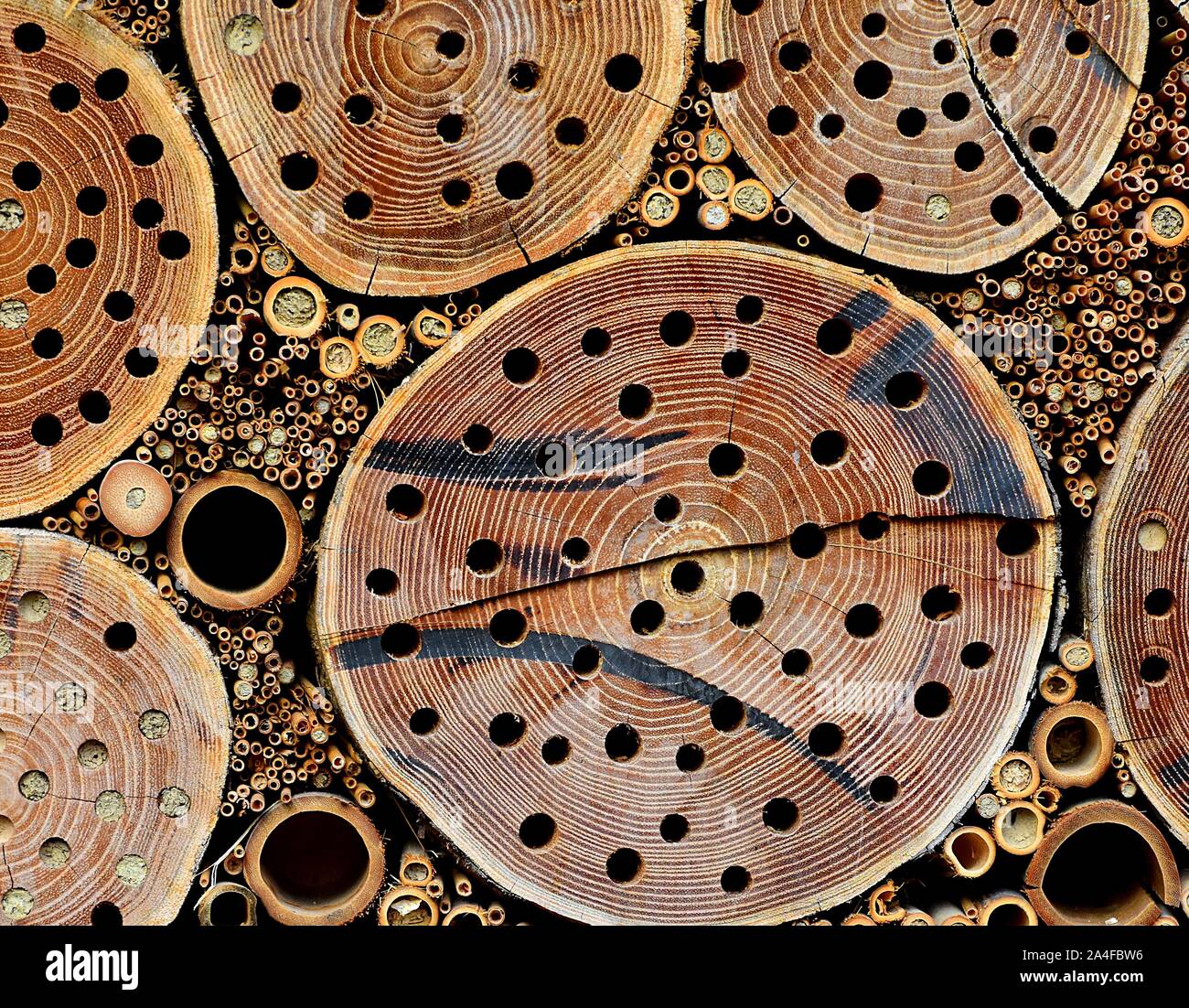 Self-built wooden home for insects in the garden, DIY. Shelter for different insects. Stock Photo