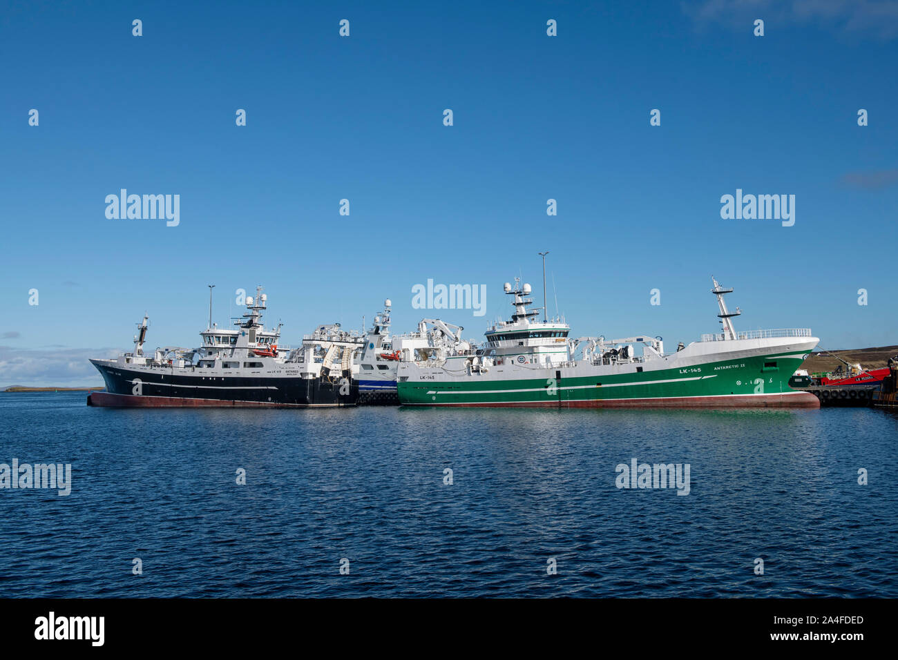 Shetland pelagic fleet and local trawlers tied up in Lerwick Shetland on a sunny day. Stock Photo