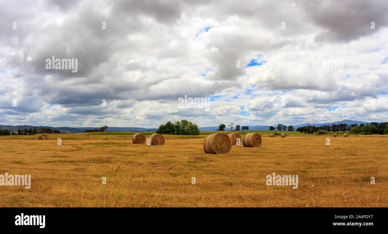 Ripe Haystack Agricultural landscape haystacks hi-res stock photography and images ...