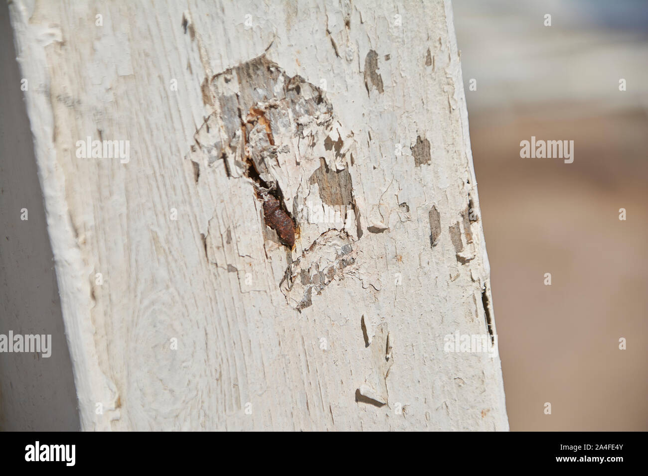 Wood Paint Incrustation Stock Photo Alamy Wood Paint Incrustation Stock Photo Alamy