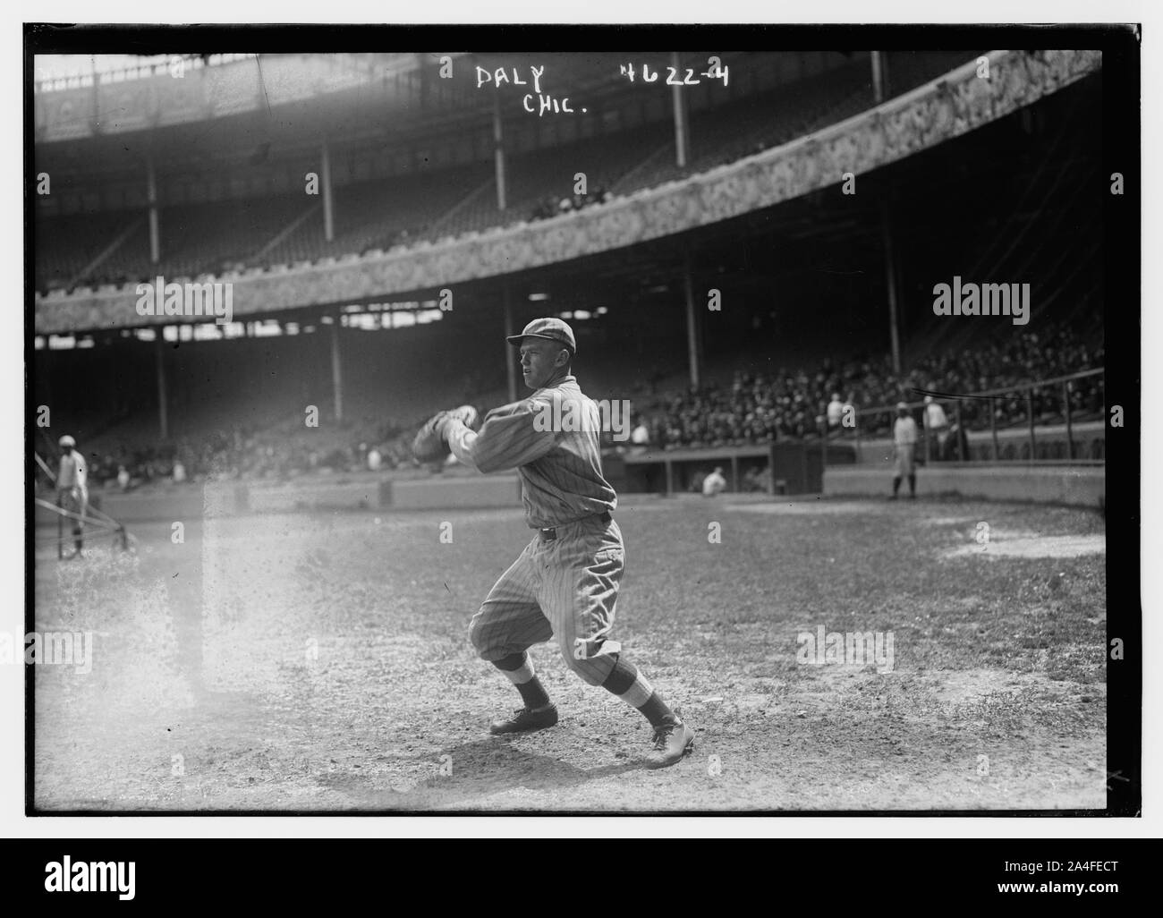 Tom daly hires stock photography and images Alamy