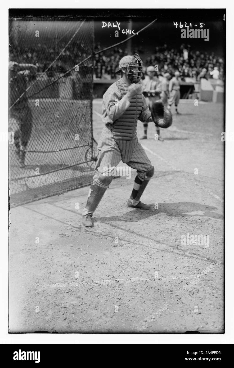 Tom D. Daly, Chicago NL (baseball Stock Photo Alamy