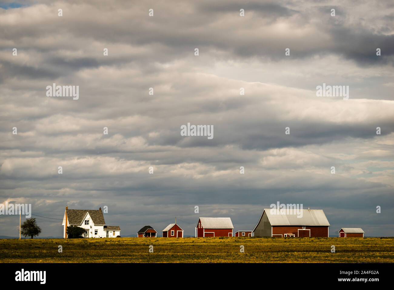 New brunswick farm hires stock photography and images Alamy