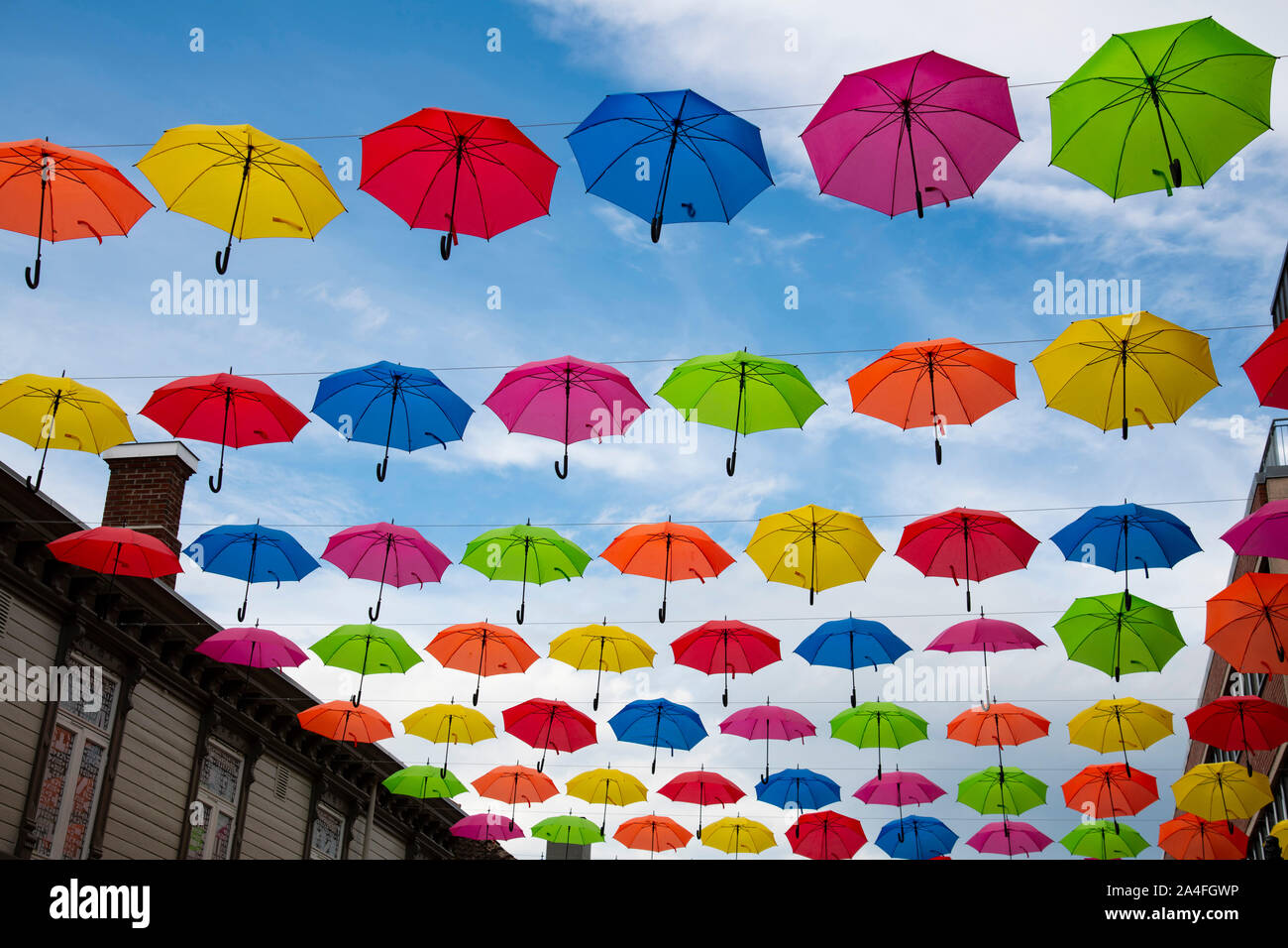 An installation of colourful umbrellas above a street in Trondheim,  Trondelag, Norway, Europe Stock Photo - Alamy