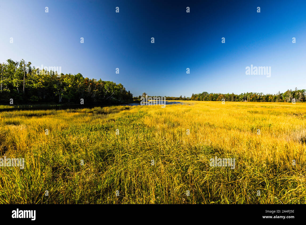 Tidal Estuary Salt Marsh SaintSimon, New Brunswick, CA Stock Photo Alamy