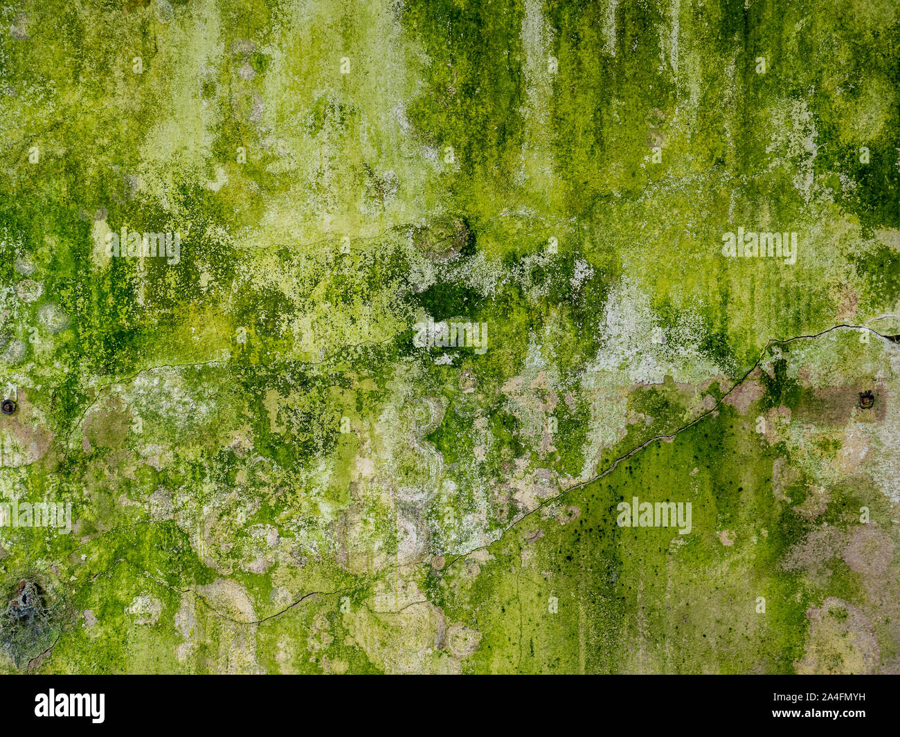 weathered old green wall with moss Stock Photo