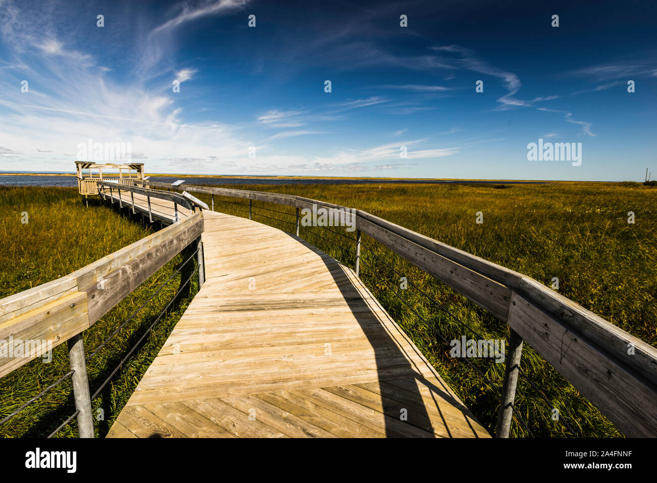 Lake Frye Boardwalk Miscou, New Brunswick, CA Stock Photo Alamy
