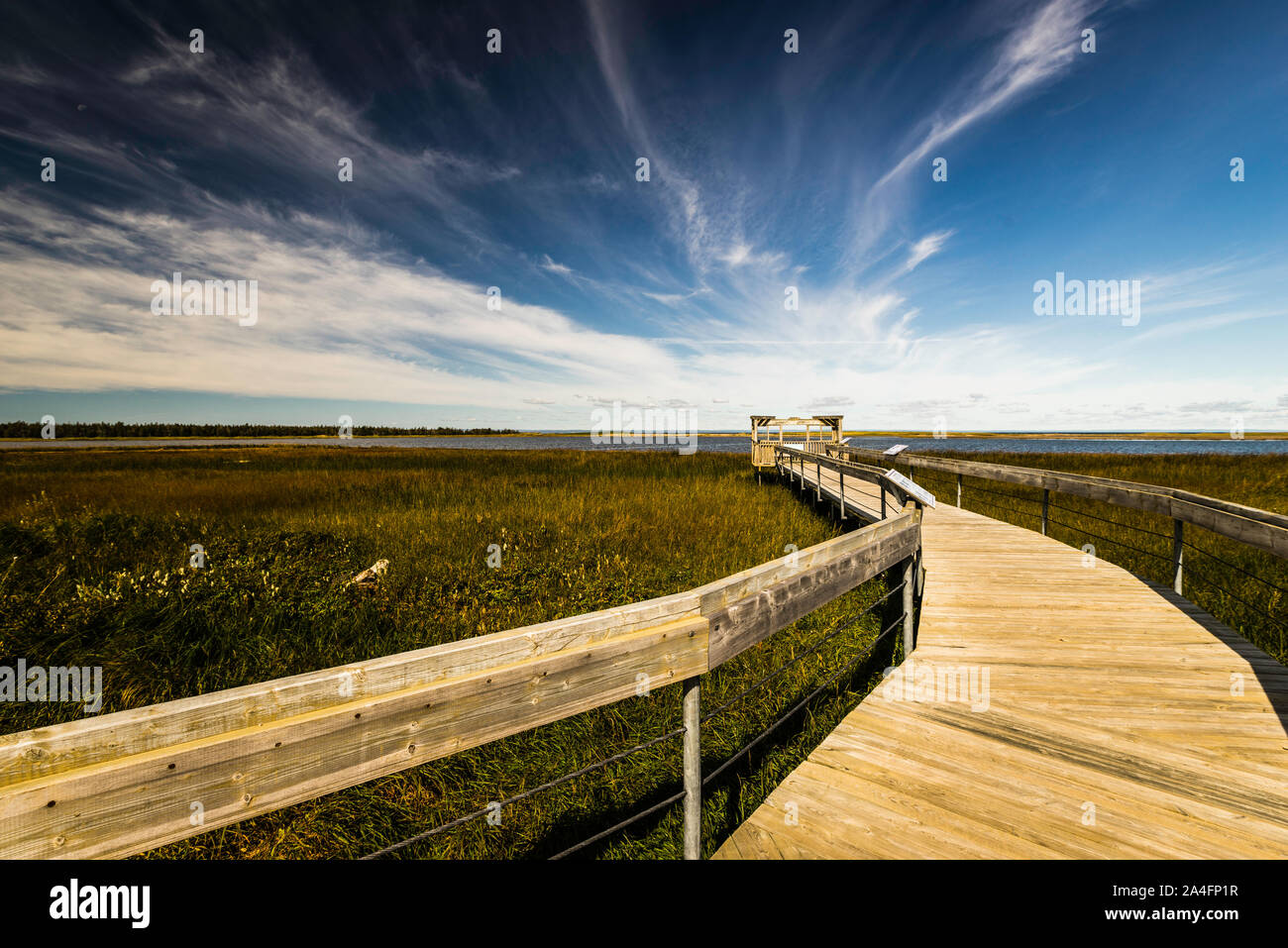 Lake Frye Boardwalk Miscou, New Brunswick, CA Stock Photo Alamy