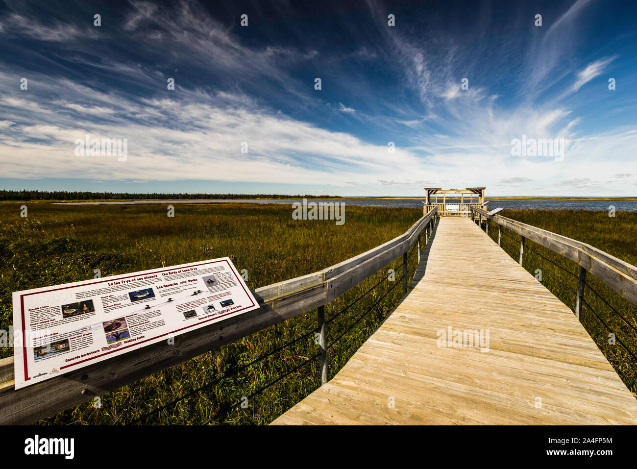 Lake Frye Boardwalk Miscou, New Brunswick, CA Stock Photo Alamy