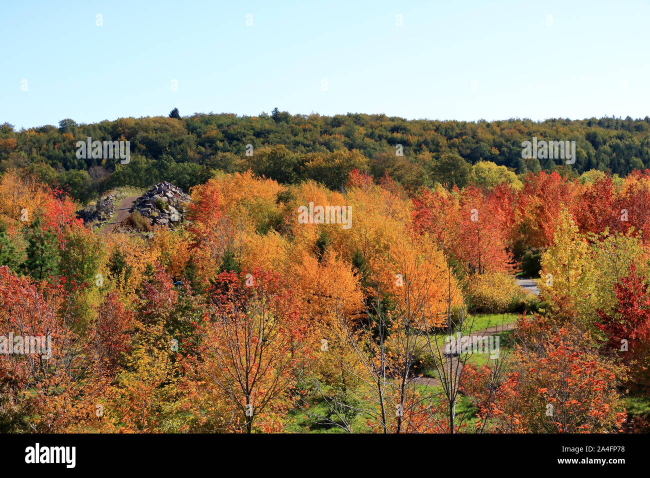 Autumn leaves with blue sky background Stock Photo - Alamy