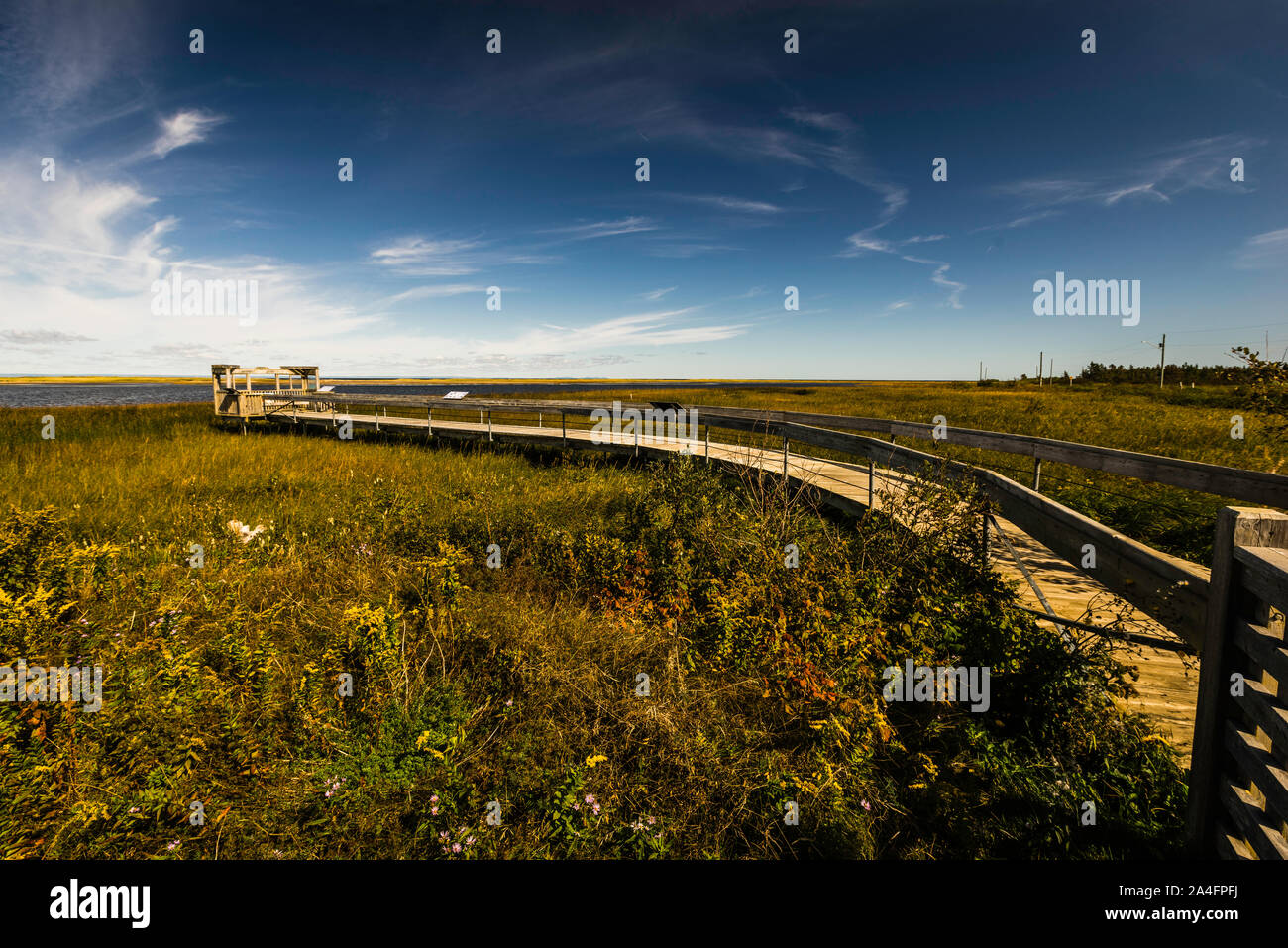 Lake Frye Boardwalk Miscou, New Brunswick, CA Stock Photo Alamy