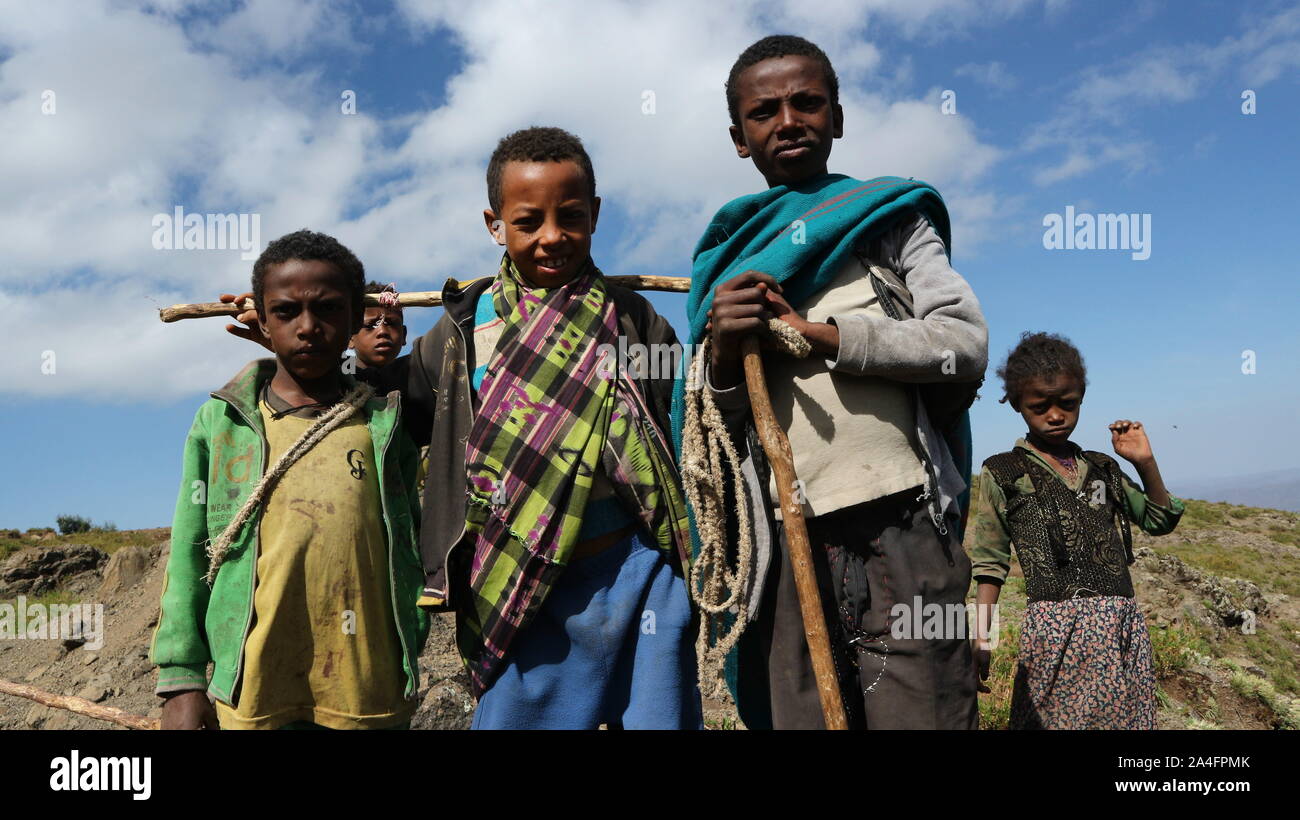 Sheep herding sticks hi-res stock photography and images - Alamy
