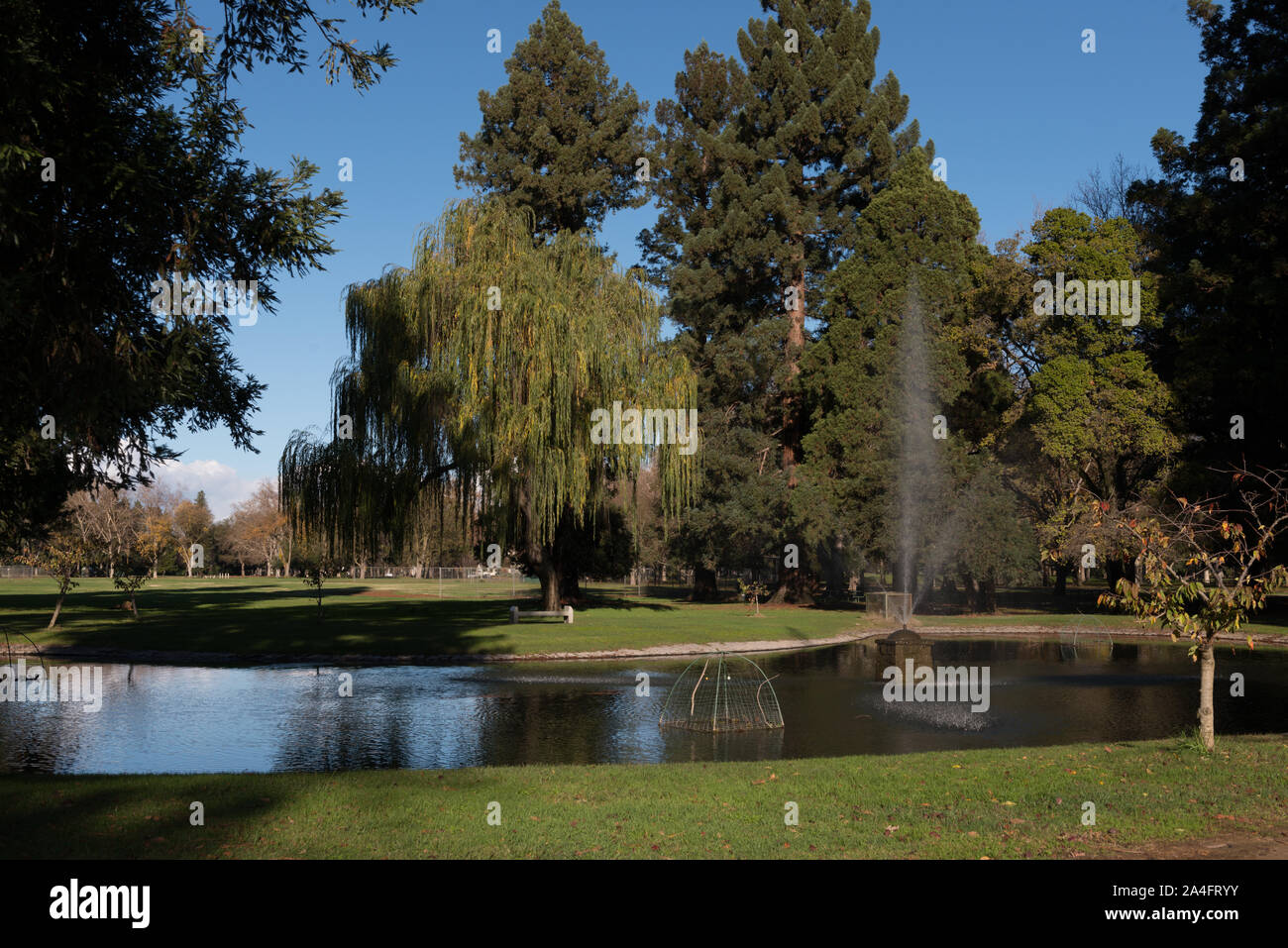 Tranquil lake scene in Land Park, near the zoo and Fairytale Town theme
