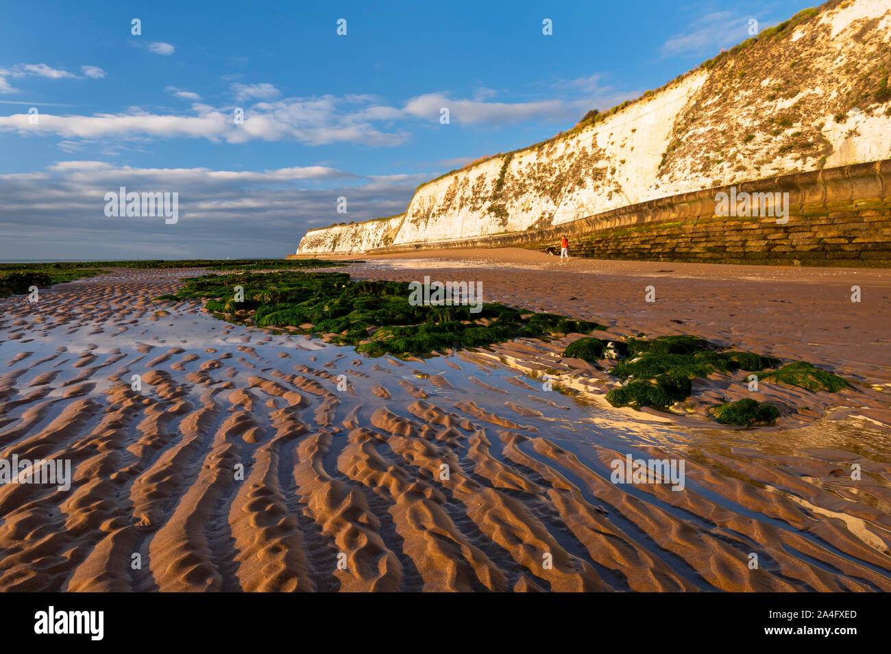 Louisa Bay, Broadstairs. A lone walker on a sandy beach in Kent