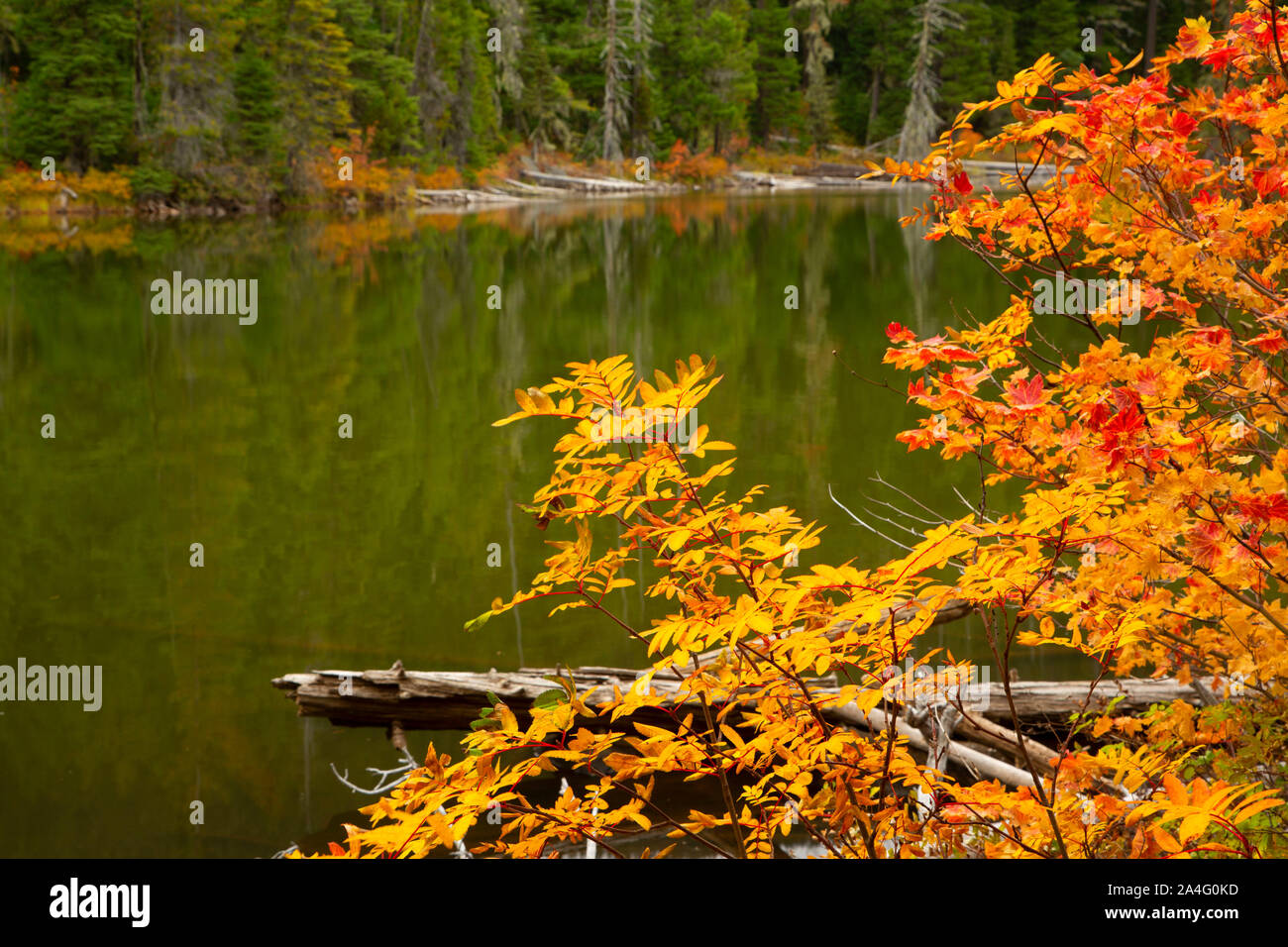 Jude Lake along Pacific Crest National Scenic Trail, Olallie Lake