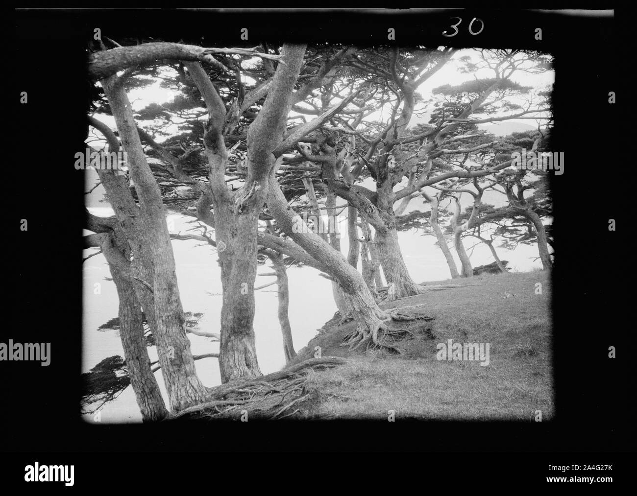 Japan river view Black and White Stock Photos & Images - Alamy